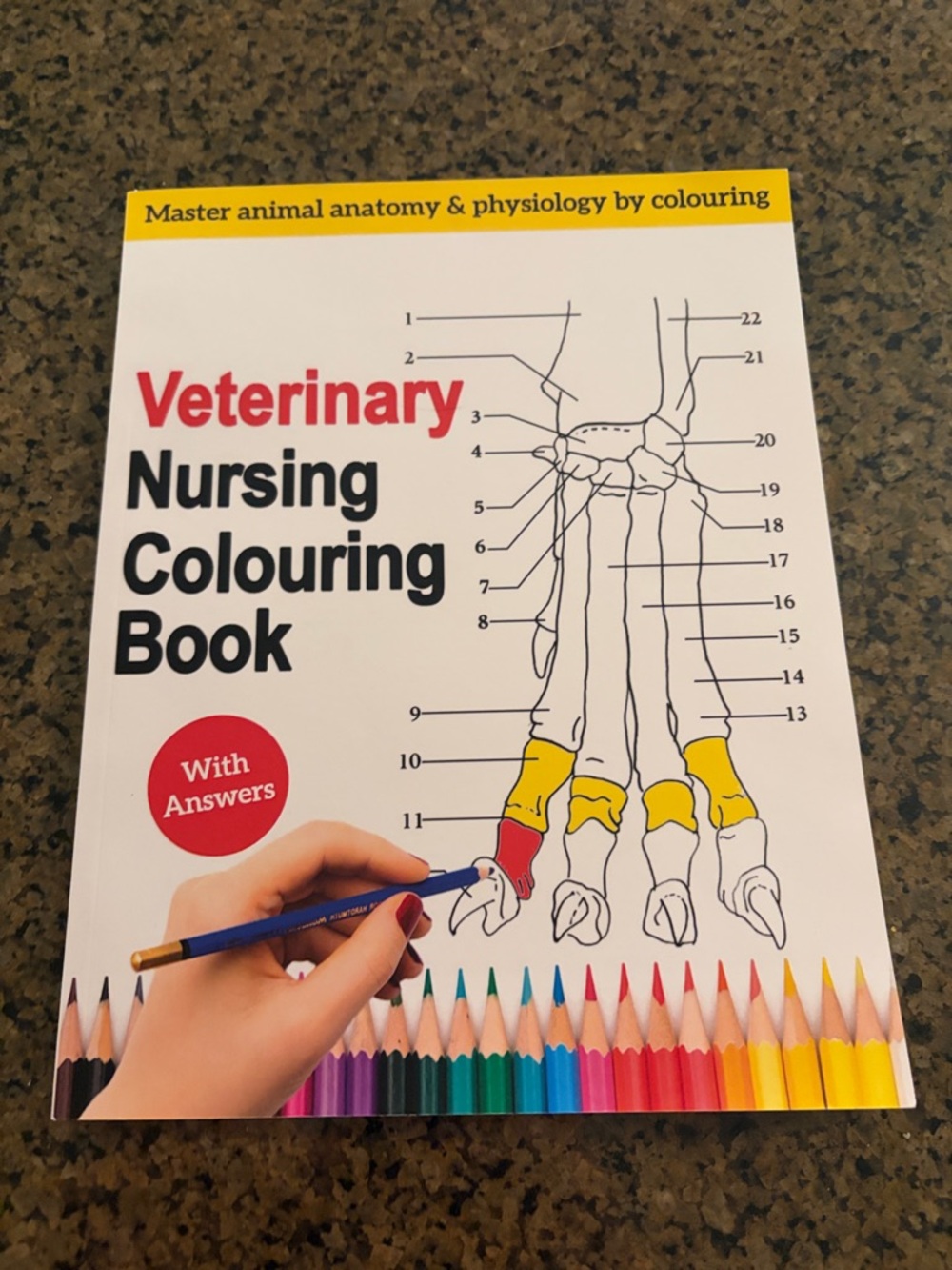 Veterinary Nursing Colouring Book - White with Multicolor Accents